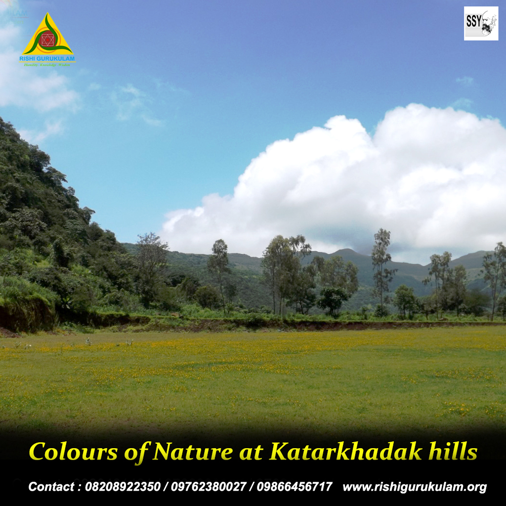 Colours of Nature at Katarkhadak hills